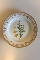 Royal Copenhagen Flora Danica Plate No 20/3549