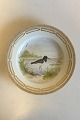 Royal Copenhagen Flora Danica Bird Dinner Plate No 240/3549