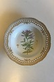 Royal Copenhagen Flora Danica Deep Plate with pierced border No 20/3547