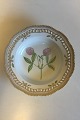 Royal Copenhagen Flora Danica Deep Plate with pierced border No 20/3547