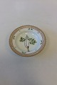 Royal Copenhagen Flora Danica Small Deep Plate No. 3590