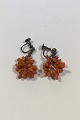 Coral Earrings with Silver-screws