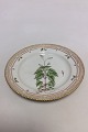 Royal Copenhagen Flora Danica Lunch Plate No 20/3550