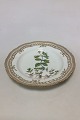 Royal Copenhagen Flora Danica Plate with pierced border No 20/3553