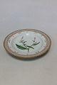 Royal Copenhagen Flora Danica Dinner Plate No 624(3549).