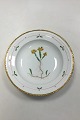 Royal Copenhagen Flora Danica light Deep Plate No 735/3546