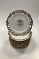 Set of 12 Flora Danica Plates No 3584 with Putties / Engles from 1850-1870