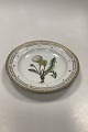 Royal Copenhagen Private Painted Flora Danica Dinner Plate No. 3549