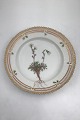 Royal Copenhagen Flora Danica Dessert Plate No 20/3551