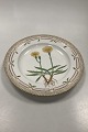 Royal Copenhagen Flora Danica Dinner Plate No. 624 (20/3549)