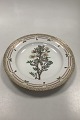 Royal Copenhagen Flora Danica Dinner Plate No. 624 (20/3549)