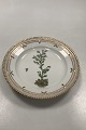 Royal Copenhagen Flora Danica Salad Plate No 20/3573