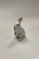 Bing and Grondahl Figurine Rabbit Standing No. 2443