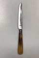 Tilquin-Anvers Stainless Lunch Knife - 20,7 cm