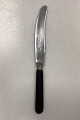 Raadvad Stainless Dining Knife - 25,4 cm
