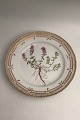 Royal Copenhagen Flora Danica Lunch Plate No. 20/3550