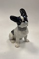German Heubach Porcelain Figurine of French Bulldog